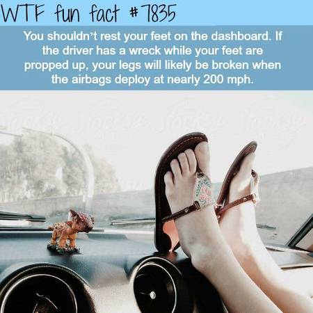 WTF fun fact