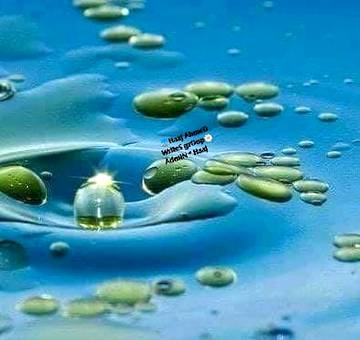 کبھی آپ نے پانی میں گرے تیل کے قطرے کو دیکھا ھے..؟ وہ پھیلتا ھے تو اپنے رنگ بکھیرتا ھے.. اگر پانی چل پڑے تو وہ ساتھ چلتا ھے لیکن وہ قطرہ کبھی ٹوٹتا نہی.. پانی چاھے گدلا ھو یا صاف ' تیل کا وہ قطرہ اپنی شناخت نہیں کھوتا ' پانی کی سطح پر تیرتا رھتا ھے..  کیا ہم تیل کہ اِس قطرے کی طرح نہیں بن سکتے..جب بھی زمانہ ہم کو اپنے میں ضم کرنا چاھے لیکن ہم اپنی نیکی اور اچھائی کی شناخت برقرار رکھیں.