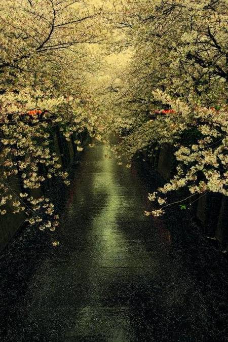 apni barbaadi pe khush hoon yeh suna hai jabse...
woh jise apna samajhte hain mita dete hain...