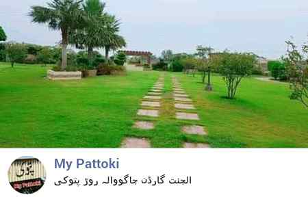 Mera soha shehr pattoki