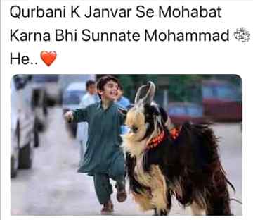 😍😍😍 beshak 😍😍😍
Anum Malik 🤗😇