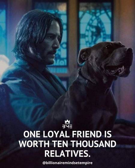 One Loyal Friend