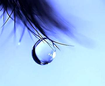 *لوگـــــ کمزور نہیـــں ہوتے، لوگوں کے رویے اُنہیـــں تھکاتے اور اذیت دیتے ہیـــں...!!!* 

٭ *دوســـروں کے آنســوؤں کا سبب نہ بنیـں...!!!*