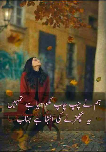 hlo friends