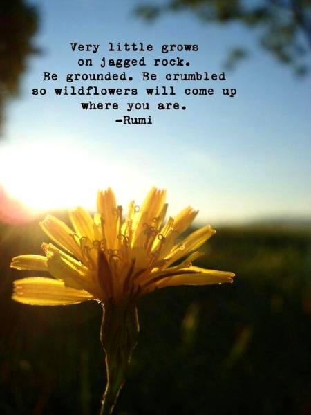 RUMI'S WORDS