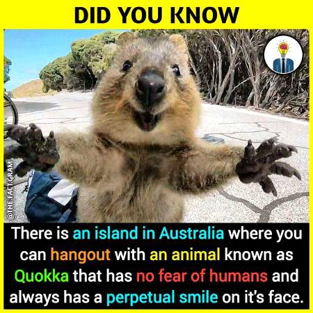 DID YOU KNOW??