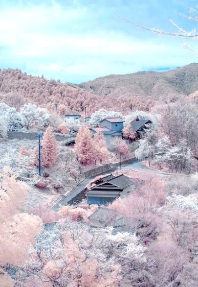 Beautiful houses in beautiful place.. Wow
