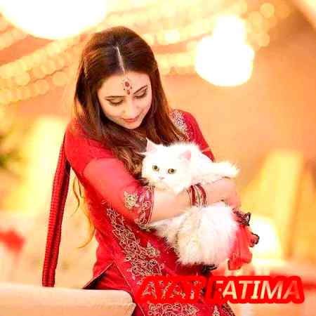 وہ ظالم میری ہر شاعری پڑھتا ہے مگر نہ آہ کرتا ہے اور نہ واہ کرتا ہے