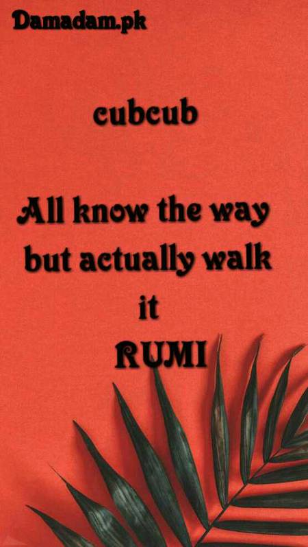 Rumi's words