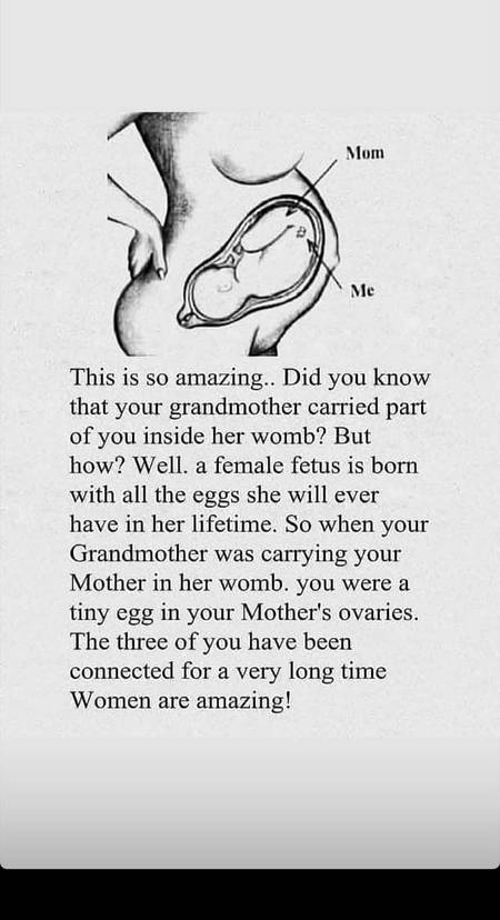 Grand mother and you