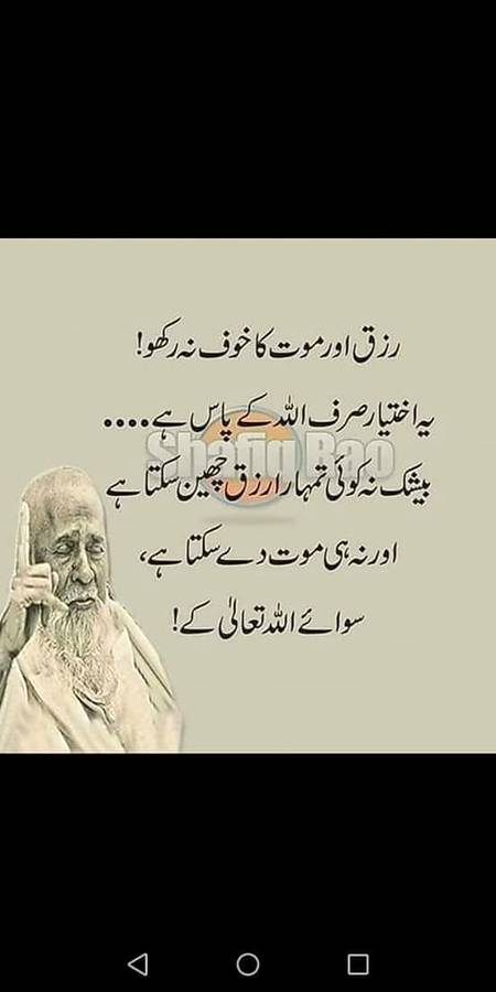 Bashak koi shak ni