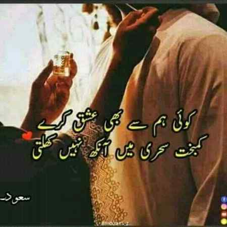 hlo.friends