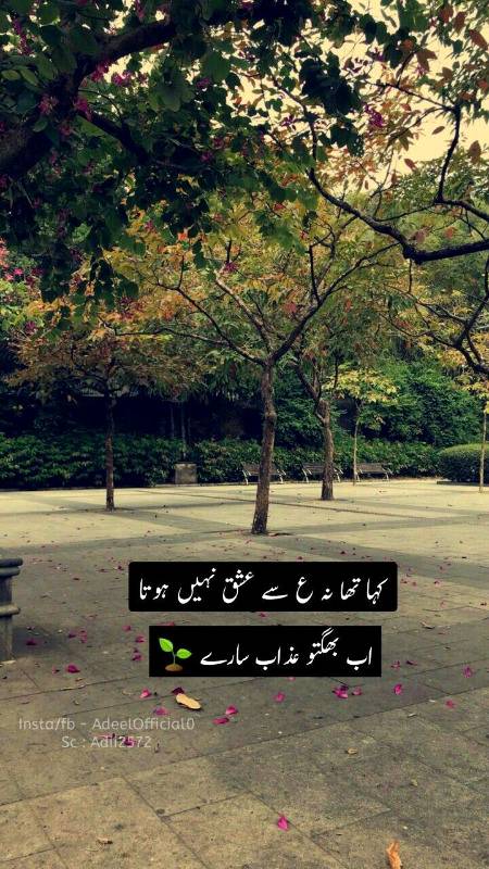 اتنی قبریں نہ بناؤ میرے اندر محسن'
میں چراغوں کو جلاتے ہوئے تھک جاتا ھوں.
