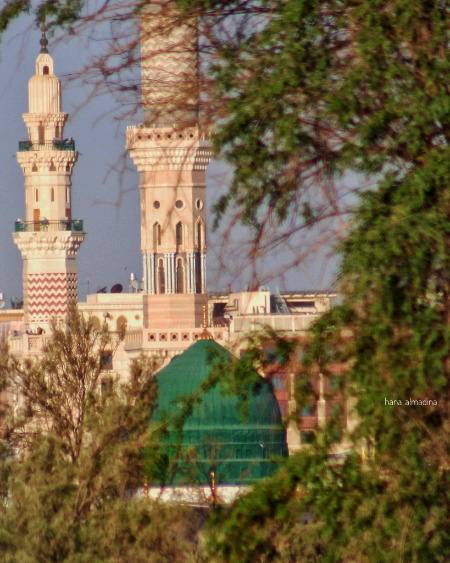 میرے محبوب ﷺ ! 
دل چاہتا ہے کہ آپ کے گنبدِ خضر'ی کےسائے میں وصل کی ایسی صبح طلوع ہو کہ جس صبح کے سورج کو غروب ہونے کا شائبہ بھی نہ ہو۔
میرے آقا ﷺ! 
یہ دل اب اس جہاں کی لذتوں سے سیراب نہیں ہوسکتا اس کی ویرانی کو آپ کے وصل کی لذت ہی سیراب کرسکتی ہے ۔ میرے آقاﷺ!