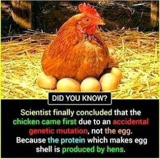 Did you know