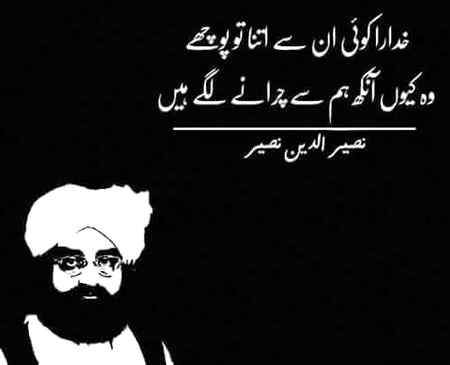 hlo friends