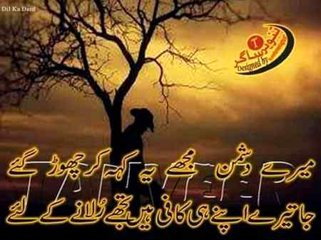 hlo friends
