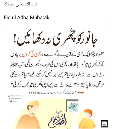 جانور کو چھری نہ دیکھائیں