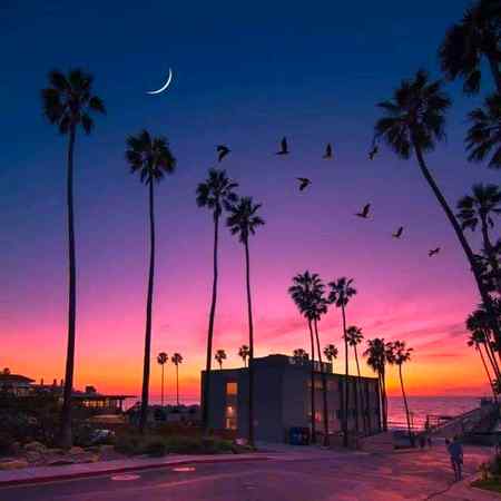 ہم  نے شاموں کی سیاہی  پہ  قناعت  کر لی
جا تُجھے دان کیئے دھوپ پہ وارے ھوئے دن