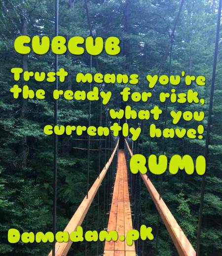 Rumi's words