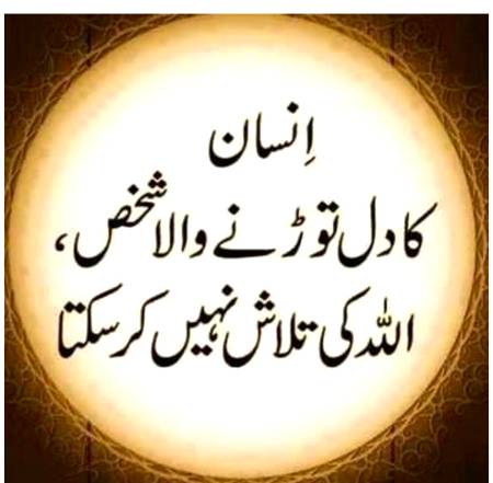 تتلی صرف 14 دن تک زندہ رہتی ہے، مگر پھر بھی خوشی سے ہر طرف اڑتی دکھائی دیتی ہے
اسی طرح آپ بھی زندگی کو بھرپور انداز سے گزاریے
❤️❤️❤️❤️