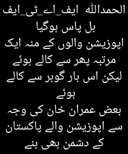 Wah imran jani kia baat hai❤❤🇵🇰