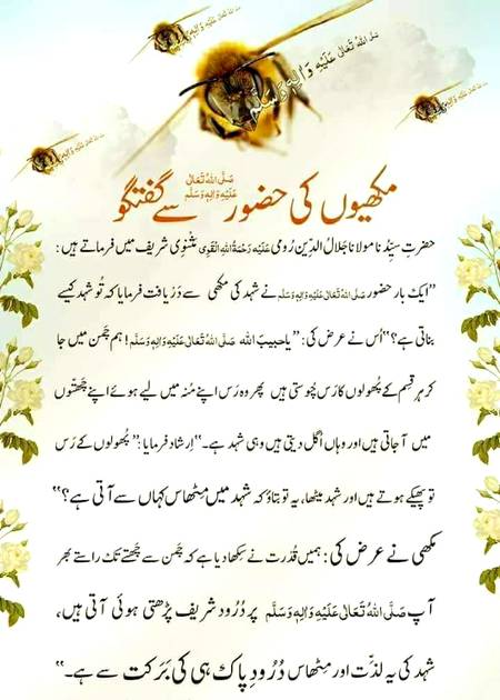 Subhan AllAh