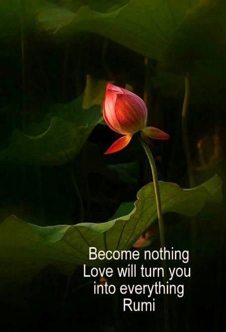 RUMI'S WORDS