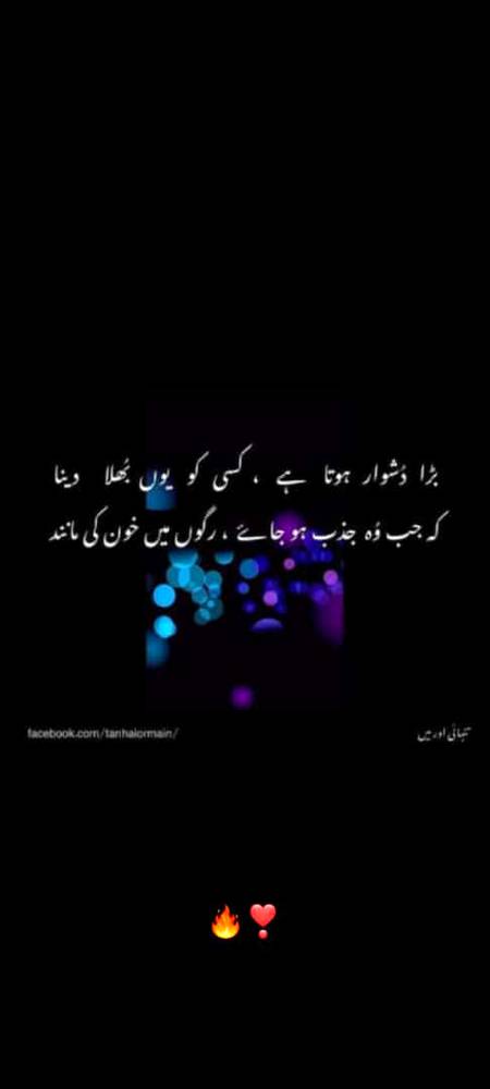 Absoutly right
