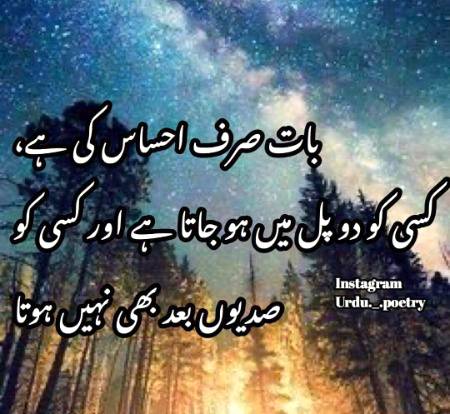 Shah Jee.....😘😍😘😍😘😍😘😍😘