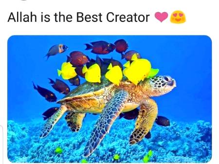 ❤❤ .  . BeshaK .   .  ❤❤