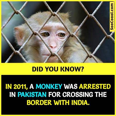 DID YOU KNOW??