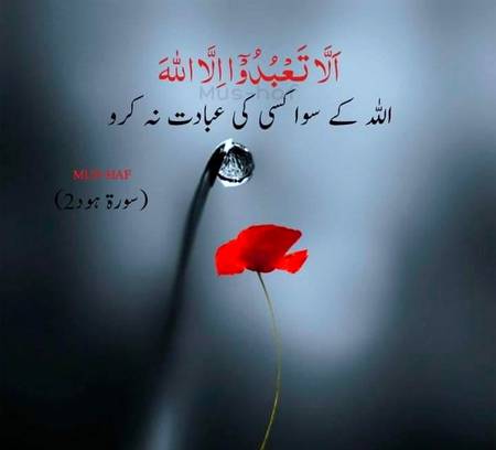 *قرآن کی محفل ایک گھاٹ ھے جس سے پانی بھی نصیب والوں کو ملتا ھے کچھ لوگ چن لیے جاتے ھیں جو اس گھاٹ سے اپنے دلوں کو سیراب کرتے ہیں* 

*اگر انساں اس گھاٹ کے پانی کی قدر نہ کرے پانی کو ضاٸع کردے تو اس سے یہ نعمت چھین لی جاتی ھے اسکوتوفیق نہیں ملتی اس گھاٹ تک آنے کی*

 *اس گھاٹ سے پانی پینے والا خود بھی تروتازہ ھو جاتا ہے اور جاکر دوسروں کو بھی سیراب کرتا ہے* 
*جسطرح گرمی کی شدت کو پانی ٹھنڈا کرتا ہے*
*بالکل اسی طرح قرآن حالات کے مارے شخص کے دل کو ٹھنڈا کرتا ھے* 

*یہ قرآن روح کی غذا ہے روح کو سکون تب ہی ملتا ھے جب اسکا اثر دلوں کے اندر اتر جائے*