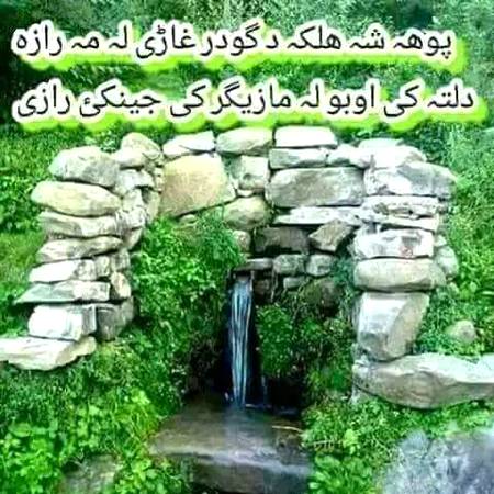 Asslam o alikum