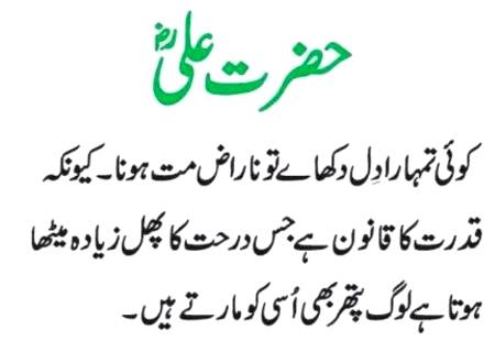Hazrat Ali