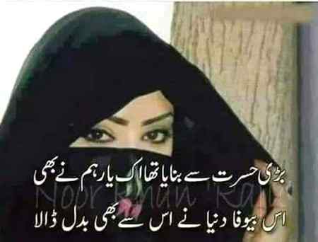 🌹🌼🌹🌼🌹🌼🌹🌼🌼🌹🌼🌹🌼🌹🌹🌼