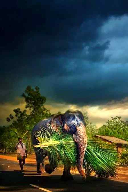 Cloudy edited pics...👌🏻