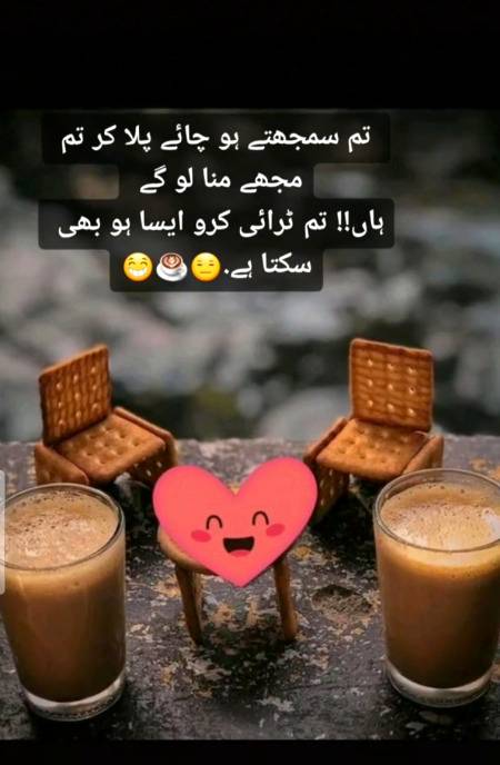 تم سمجھتے ہو