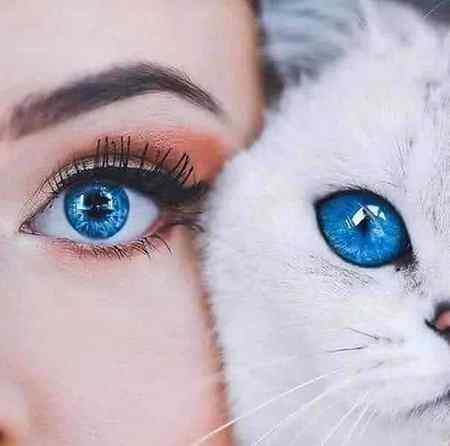 Killer eyes