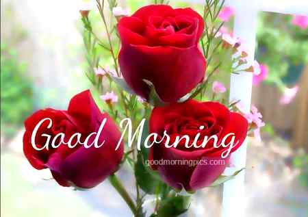 Have a Nice Day..💖