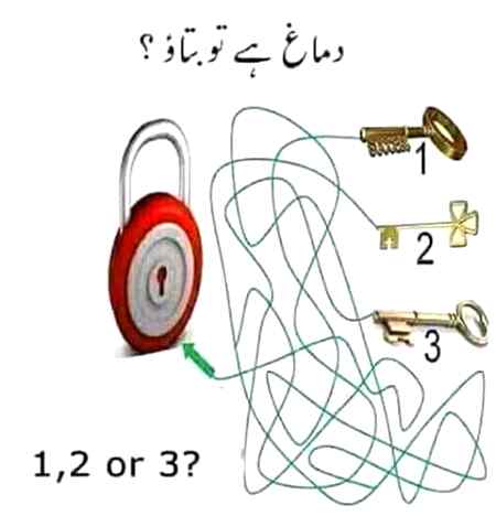 Dimagh h to batao😁😄???