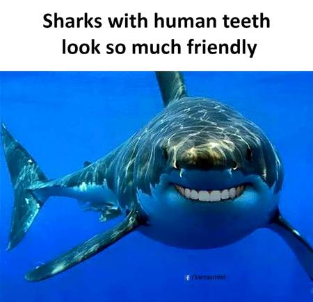It's all fun and games until u realise where it got the human teeth from