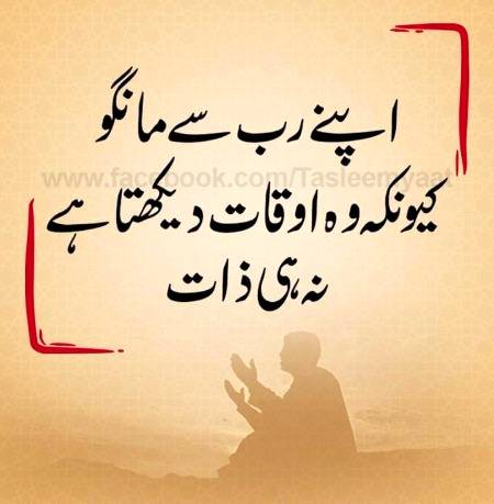 🌹🌹🌹لَبَّيْكَ اللَّهُمَّ لَبَّيْكَ، لَبَّيْكَ لاَ شَرِيكَ لَكَ لَبَّيْكَ، إِنَّ الْحَمْدَ، وَالنِّعْمَةَ، لَكَ وَالْمُلْكَ، لاَ شَرِيكَ لَكَ🌹🌹🌹
🍂🌹🌷🍁 اَللّٰهُ اَکْبَر اَللّٰهُ اَکْبَر، لَا اِلٰهَ اِلاَّ اللّٰهُ وَاللّٰهُ اَکْبَر، اَللهُ اَكْبَرْ وَِللهِ الْحمْدُاَللّٰهُ اَکْبَرکَبِیْرًا وَالْحَمْدُ ِلِلهِ کَثِیْرًا وَ سُبْحَانَ اللهِ بُکْرَةً وَّاَصِیْلاً🌷🌹🍂🍁
🌹🌹🌹صلی اللہ علی حبیبہ محمد نور من نوراللہ وعلی آلہ واہل بیتہ وعترتہ وازواجہ وصحبہ وجدہ وذریتہ و کل امتہ وبارک وسلم کثیراً کثیرا و دائماً ابدا 🌹🌹🌹