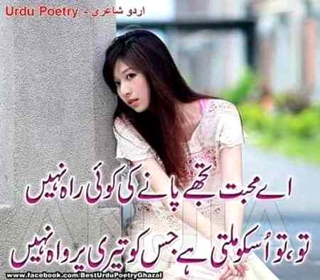 Allah Hafiz
