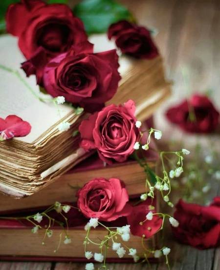 *Morning Reminder...]彡★
*🎊ایک نٸ صبح ...نٸے اعمال کرنے کا موقع...*
*🌸اللہ سبحانہ کا قرب حاصل کر لیں یا شیطانی چالوں میں آکے اپنے رب سے بنے ھوۓ تعلق کو کمزور کر لیں ......   مرضی ہماری ھے*

*◾غیبت کے عذاب کو ذہن میں رکھ کے اس بیماری کو ترک کردیں . آج پورا دن آپ نے غیبت نہیں کرنی* 🔔😊😇💯