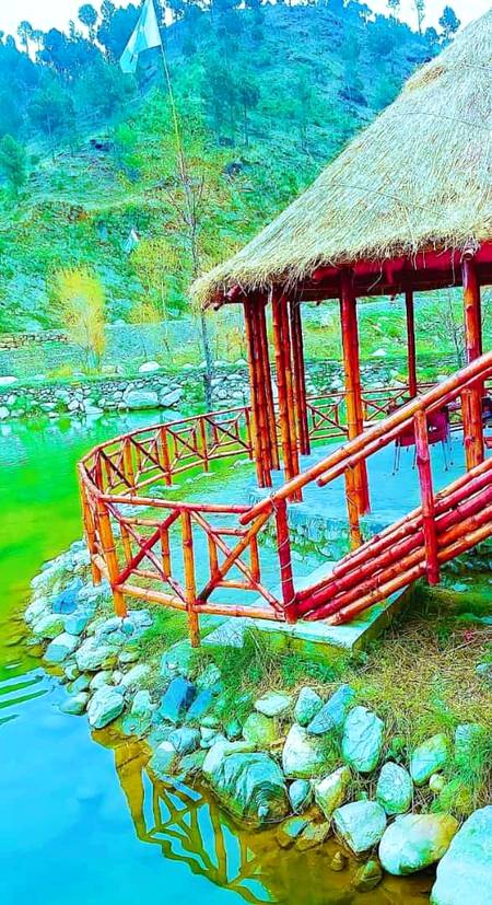 Nature's beauty💞