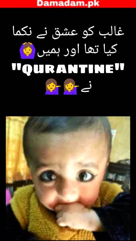 Hmein qurantine n
