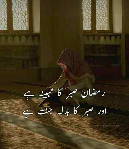 Wha belkul sahi...👍🏻☺️