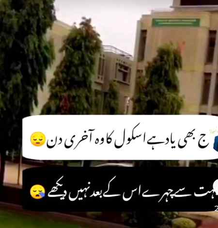 Asslam-o-Alikum everyone