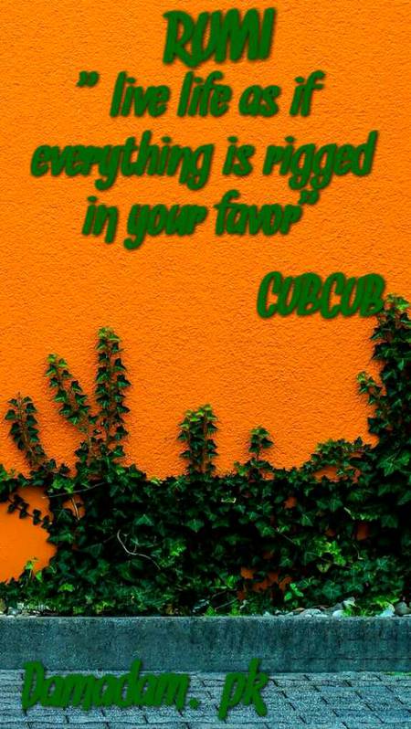 RUMI'S WORDS